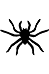 Sponge Painting Stencil- Spider