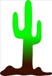 CLR Cactus