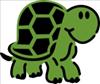 CLR Turtle